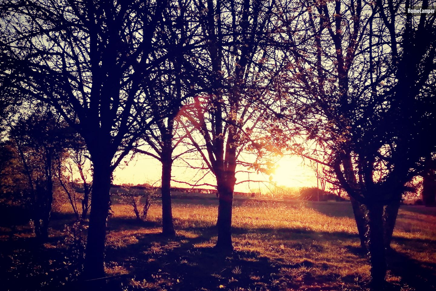 Campspace in Loupiac, Occitanie