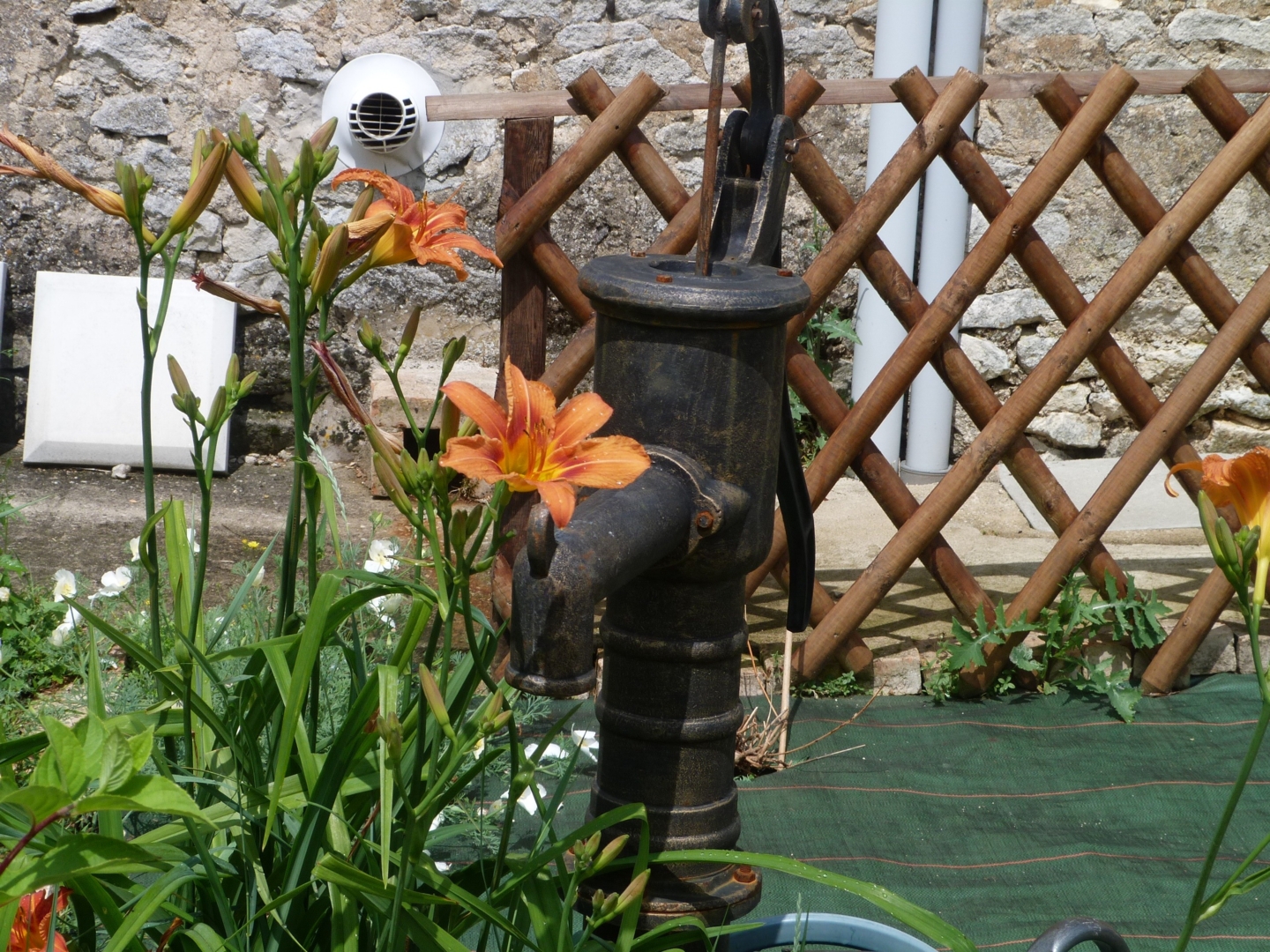 Campspace in Neuvy en Champagne, Pays de la Loire