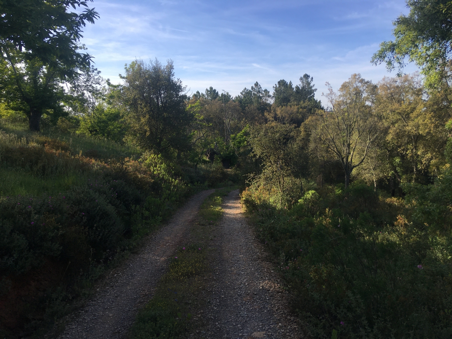 Campspace in Fuenteheridos, Andalusia