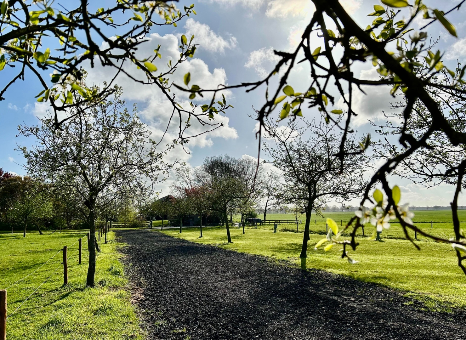 Camping in the orchard, between beautiful farmlands.