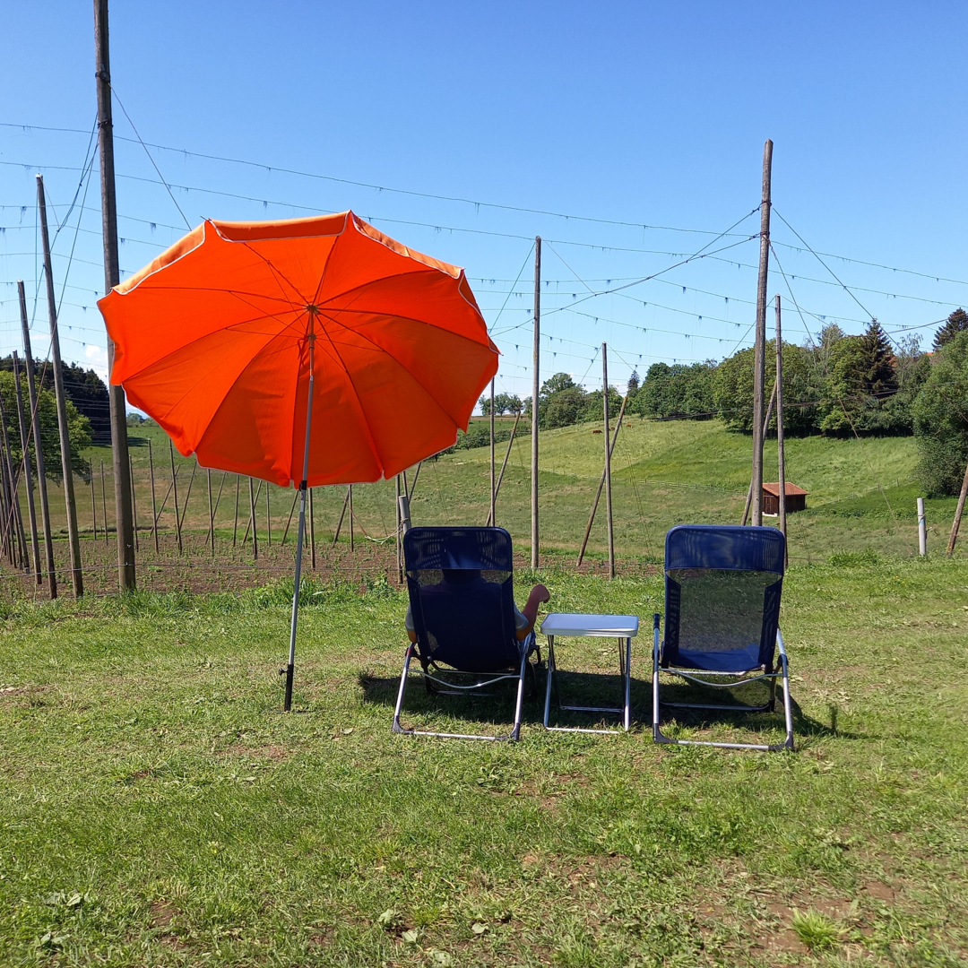 Pitch on a holiday farm with natural pool