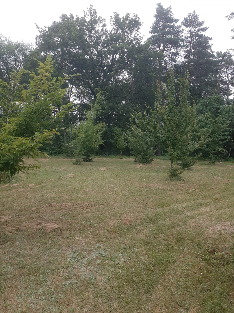 Campspace in Agonac, Nouvelle-Aquitaine