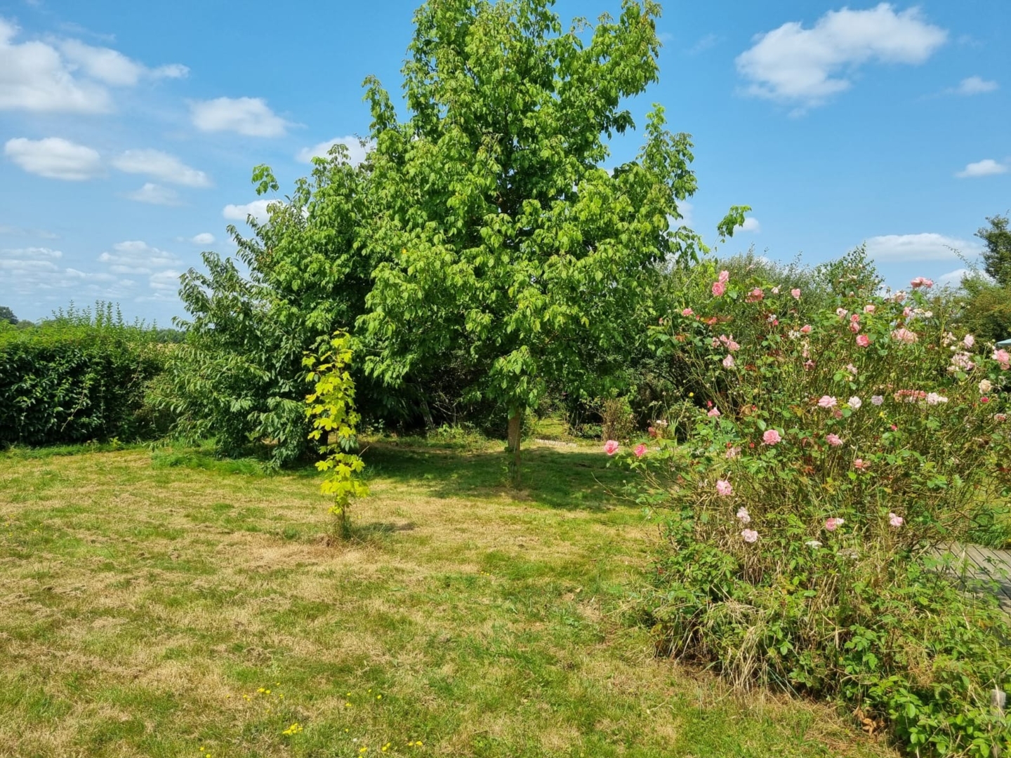 Campspace in Trans sur Erdre, Pays de la Loire,