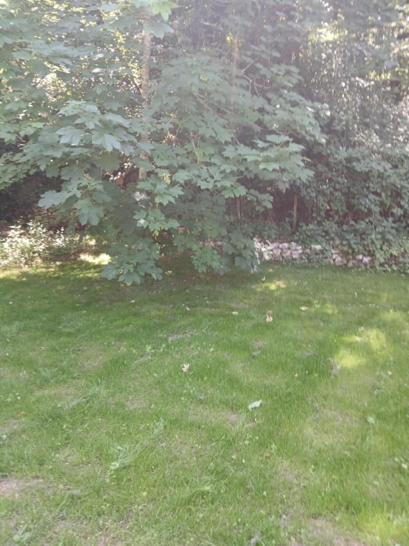 Campspace in LE BLANC, Centre-Val de Loire