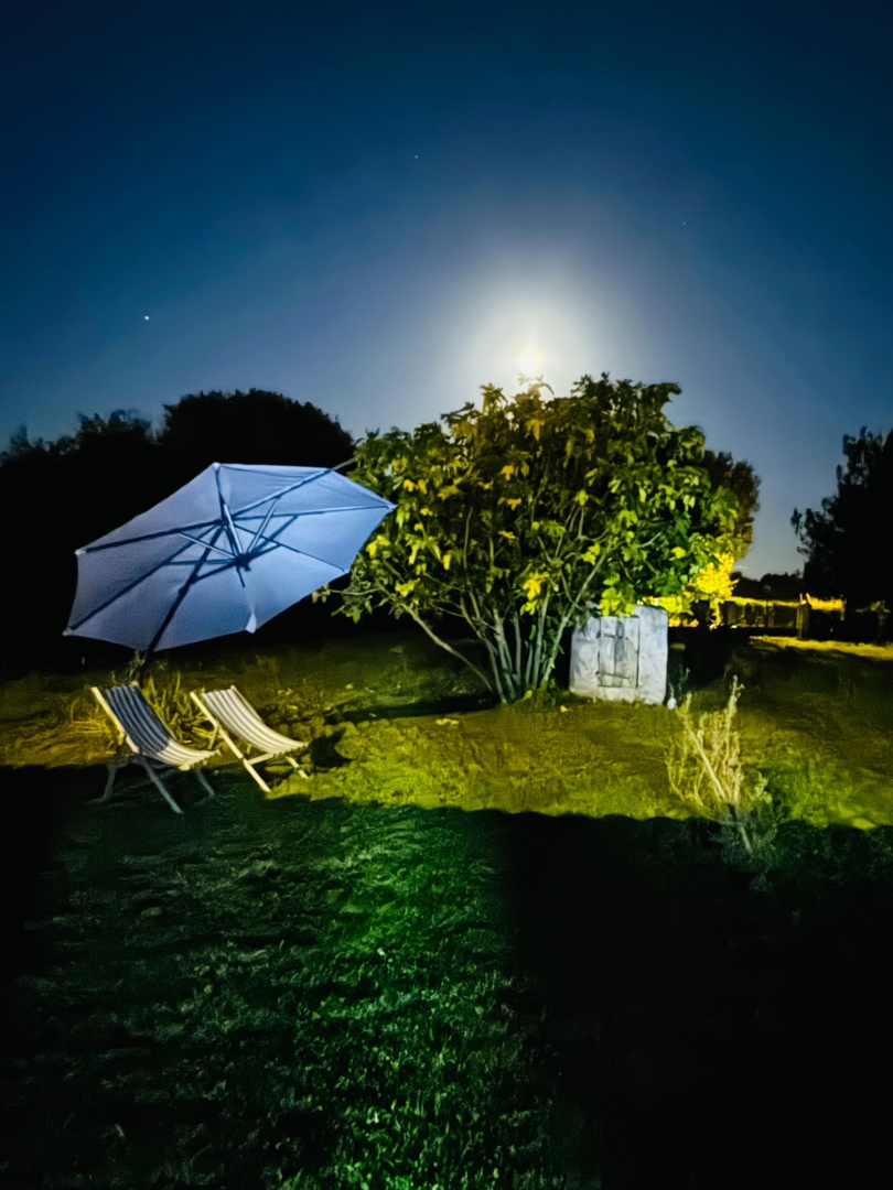 Campspace in Talmont Saint Hilaire, Pays de la Loire
