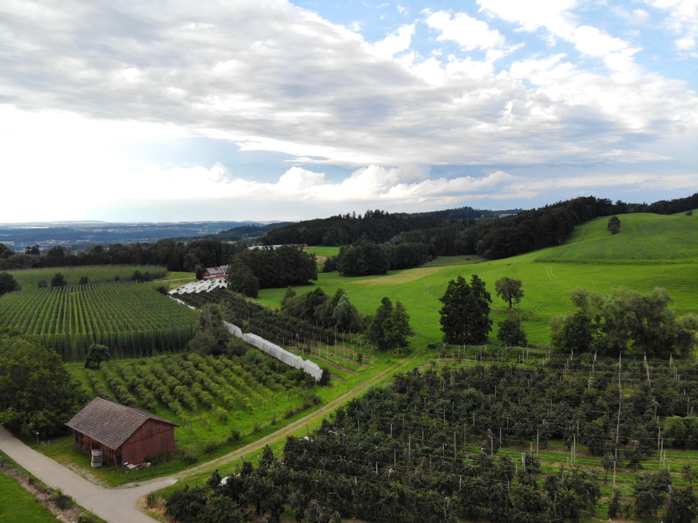 Natural farm between Ravensburg and Lake Constance