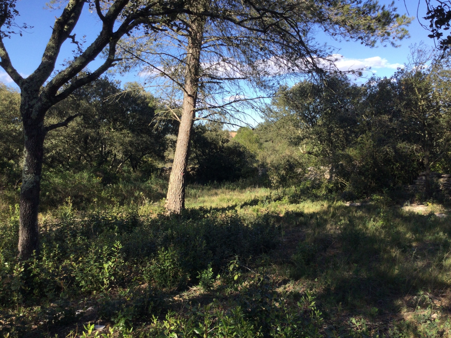 Campspace in Nîmes