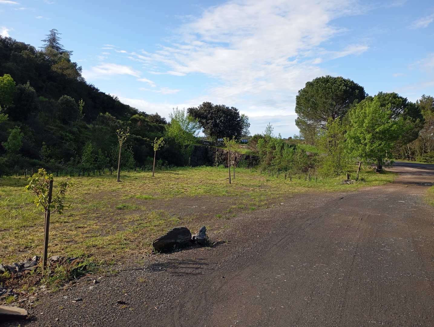 Campspace in Cabrerolles, Occitanie