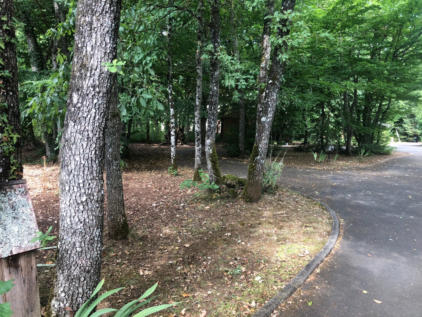 Under the trees with 4 chickens and 1 cat Plaimpied-givaudins, Centre-Val de Loire