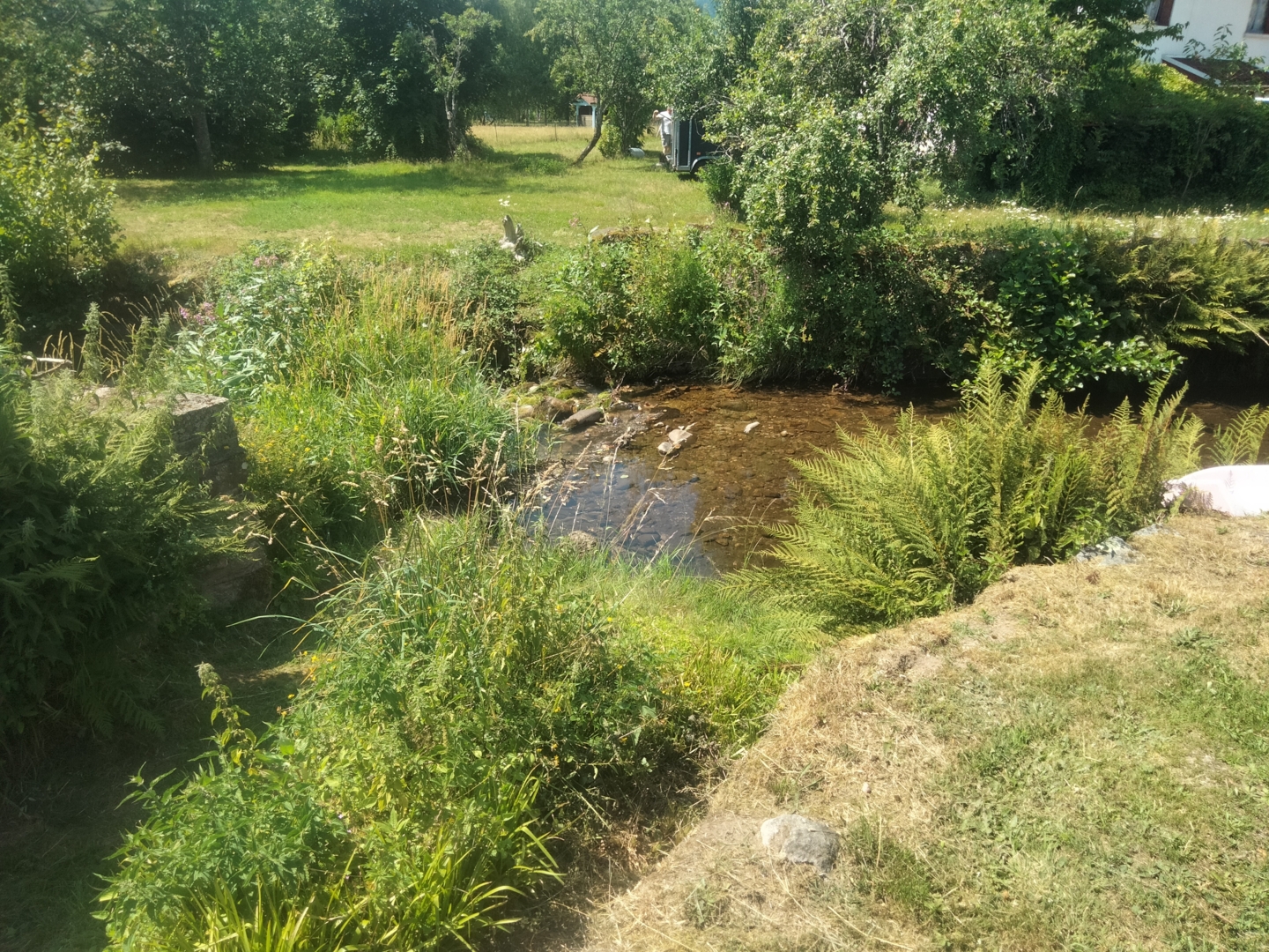 Campspace in Vecoux, Grand Est