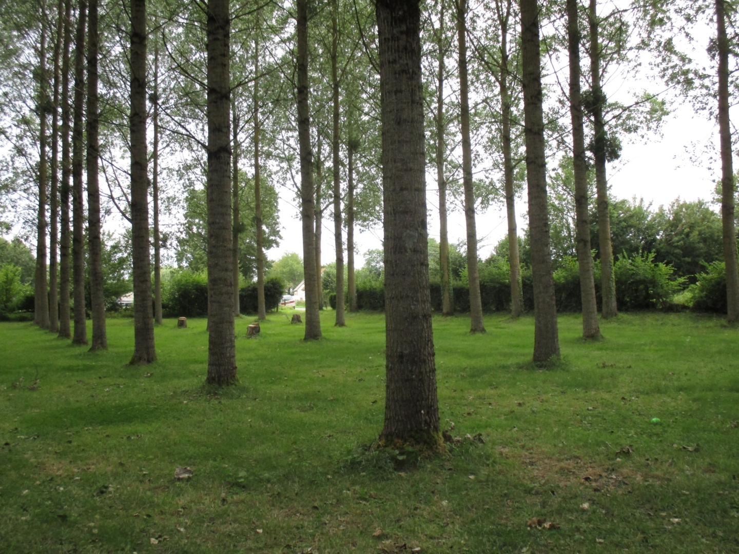 Campspace in Cilly, Hauts-de-France