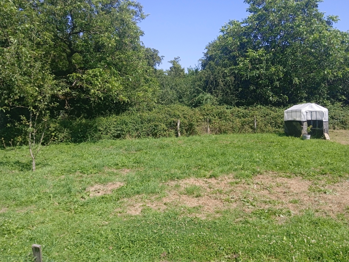 Campspace in MENESTREAU, Burgundy-Franche-Comté