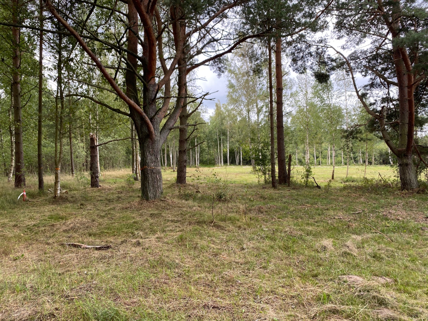 Campspace in Ventspils