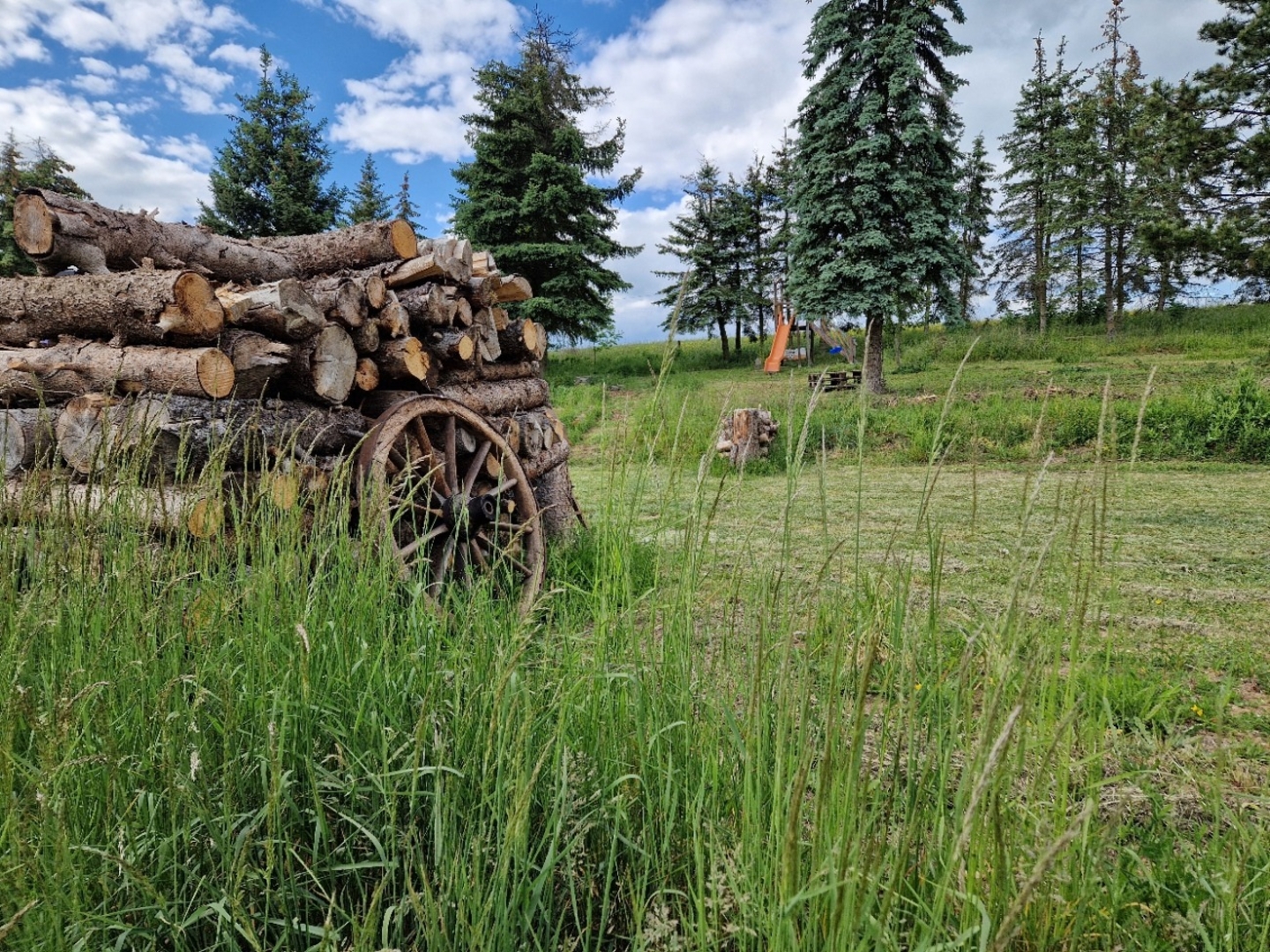 Idyll in the countryside