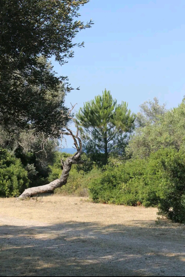 Campspace in Siracusa, Siracusa