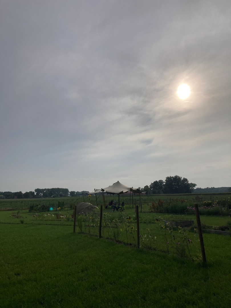 Without Speed Picking Field in Knesselare, East Flanders