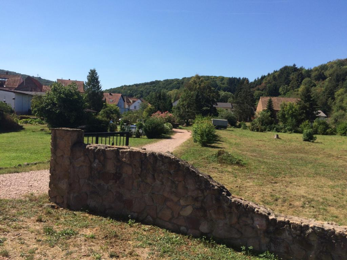 organic winery in the North Palatinate mountains