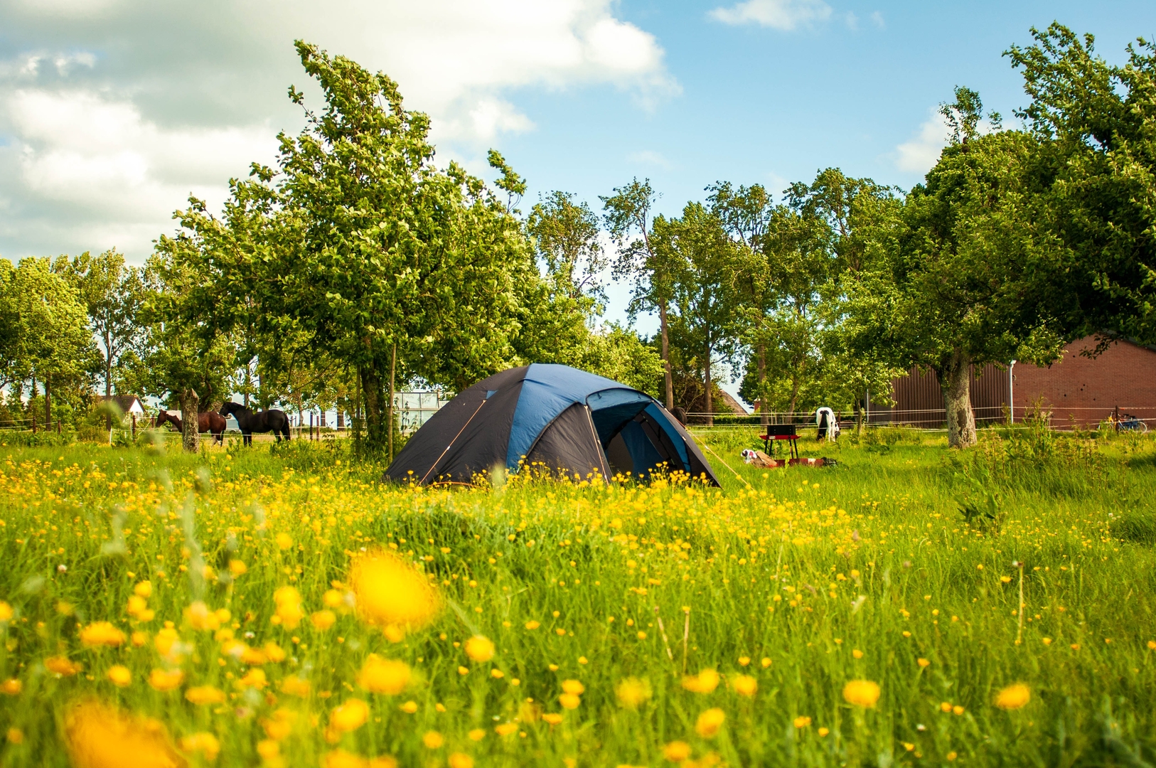 Naturbauernhof mit schnen Tieren und wunderschnem Obstgarten