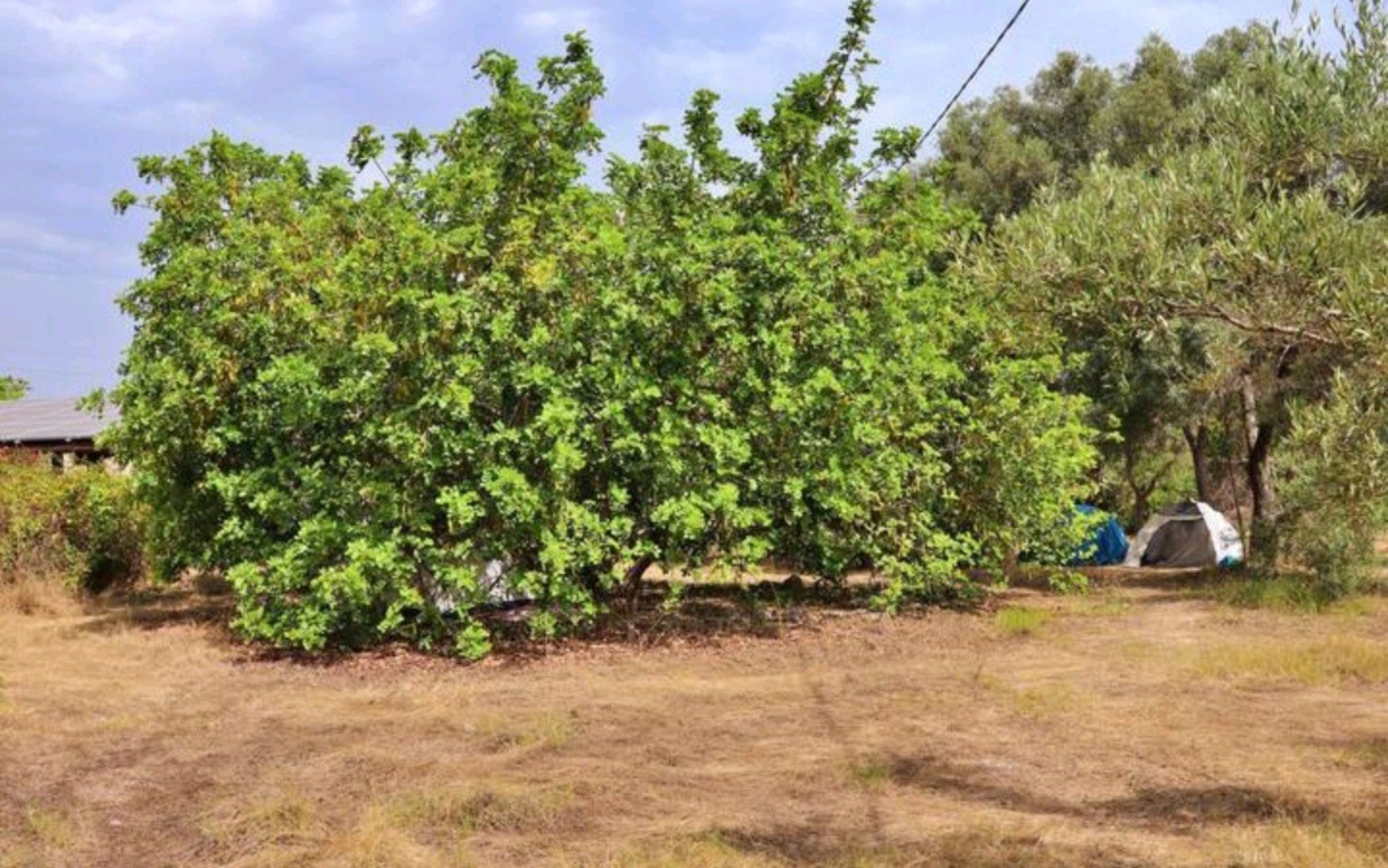 Campspace in Siracusa, Siracusa