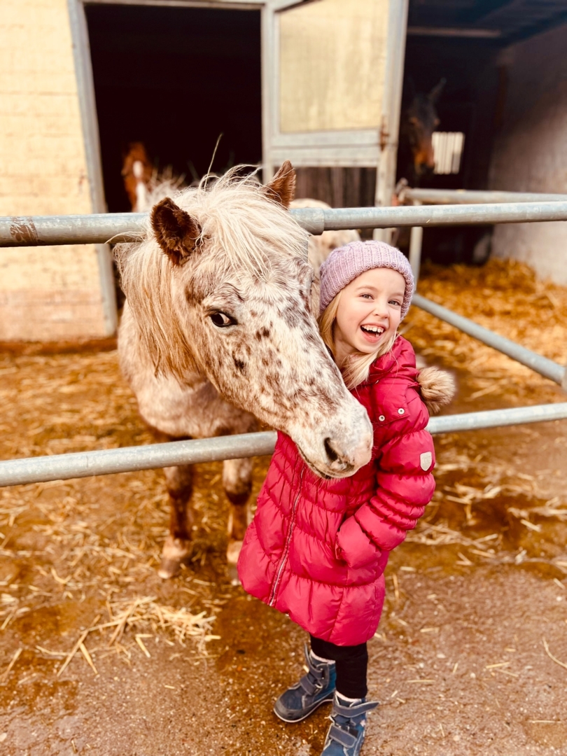 riding stable in Hofgeismar, Hesse