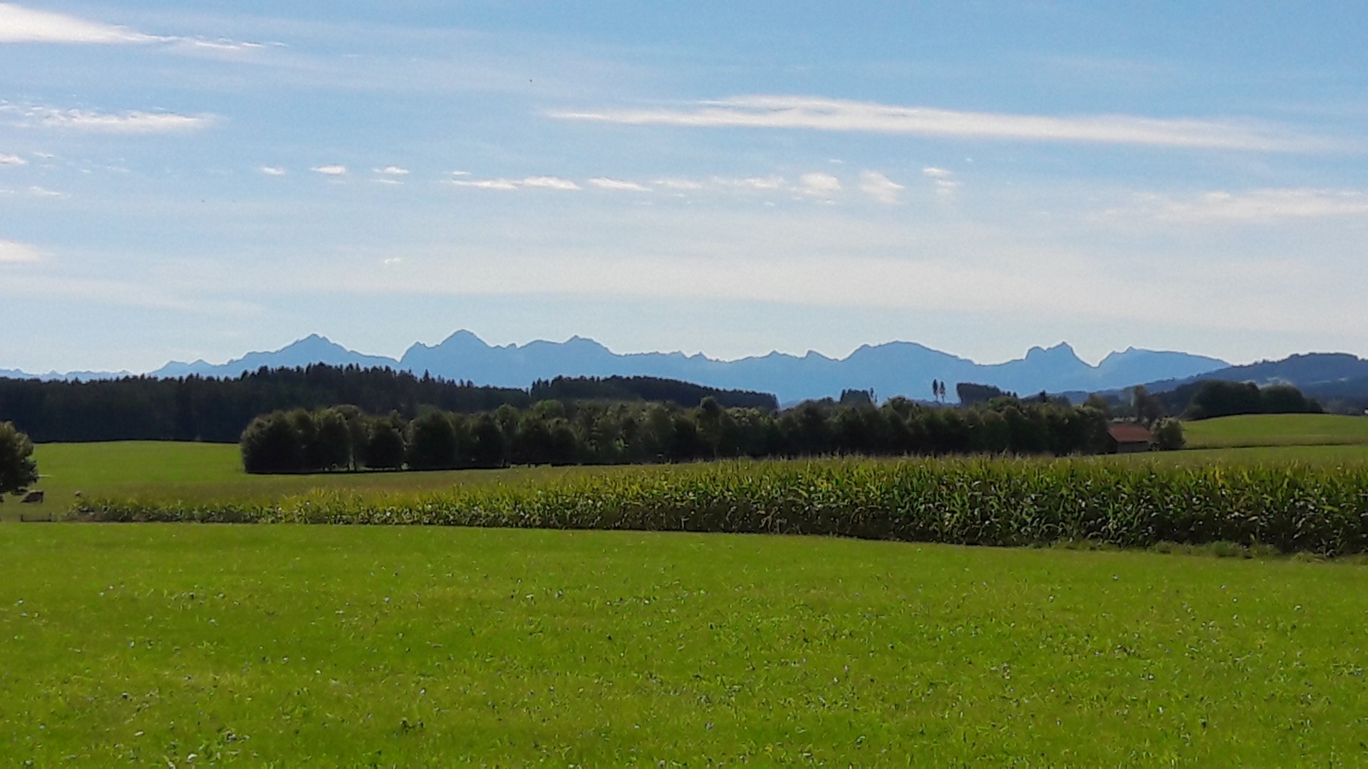 Peaceful, romantic views of the Alps year-round in a secluded location in the Auerbergland region