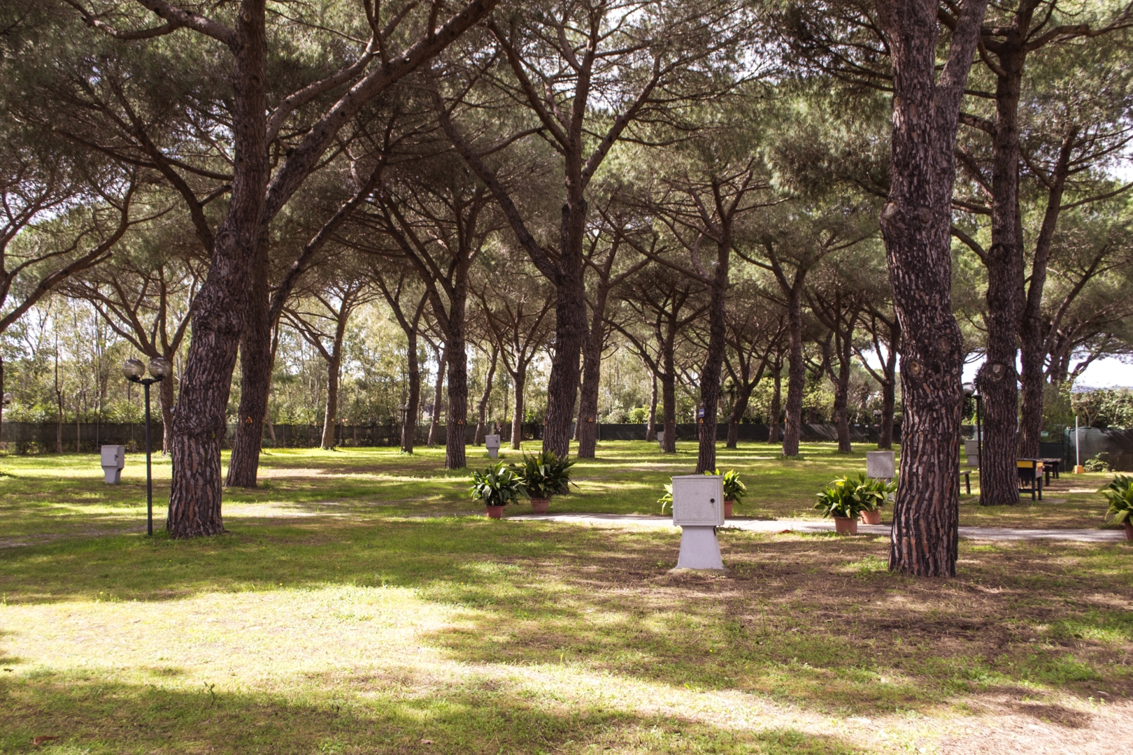 Campspace in Marina di Grosseto, Grosseto