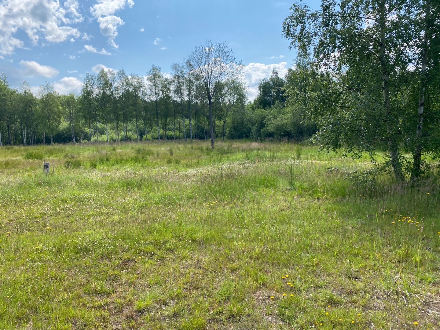 Campspace in Ventspils