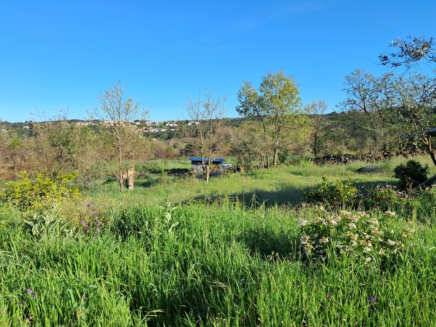 Eco-camping Quinta Michta, Mesquitela, Mangualde, Viseu