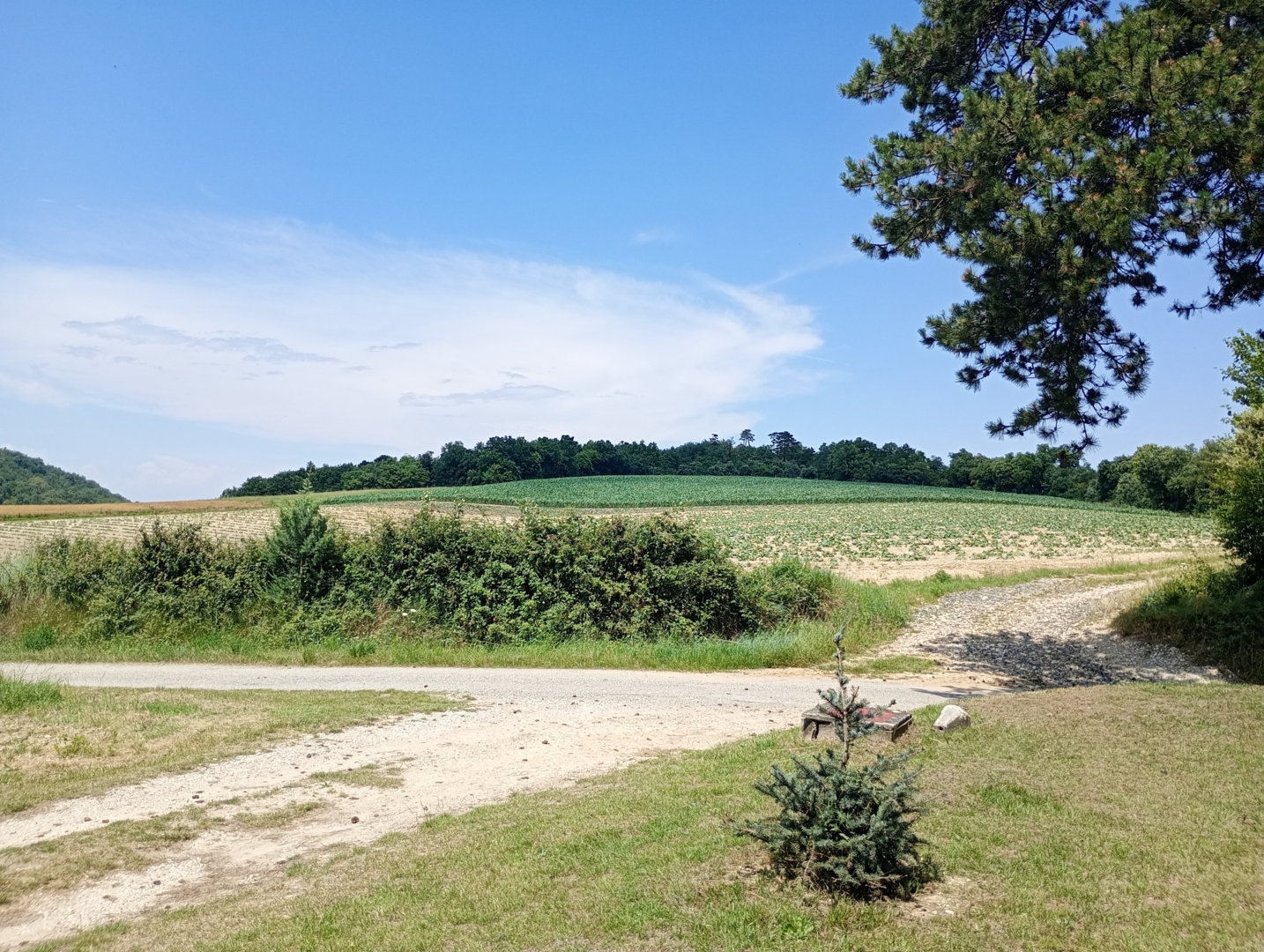 Campspace in MONTOISON, Auvergne-Rhône-Alpes