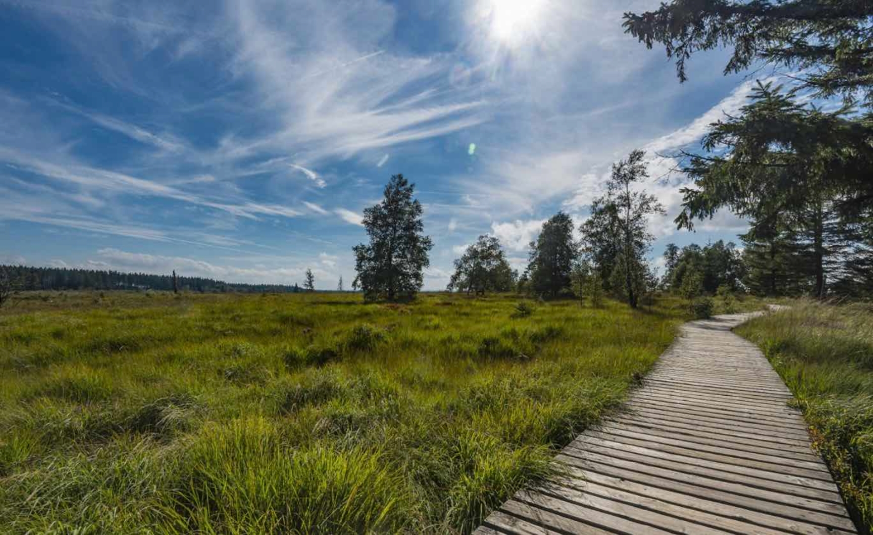 Felipe's Garden, campsite in the heart of Wallonia, escape into nature