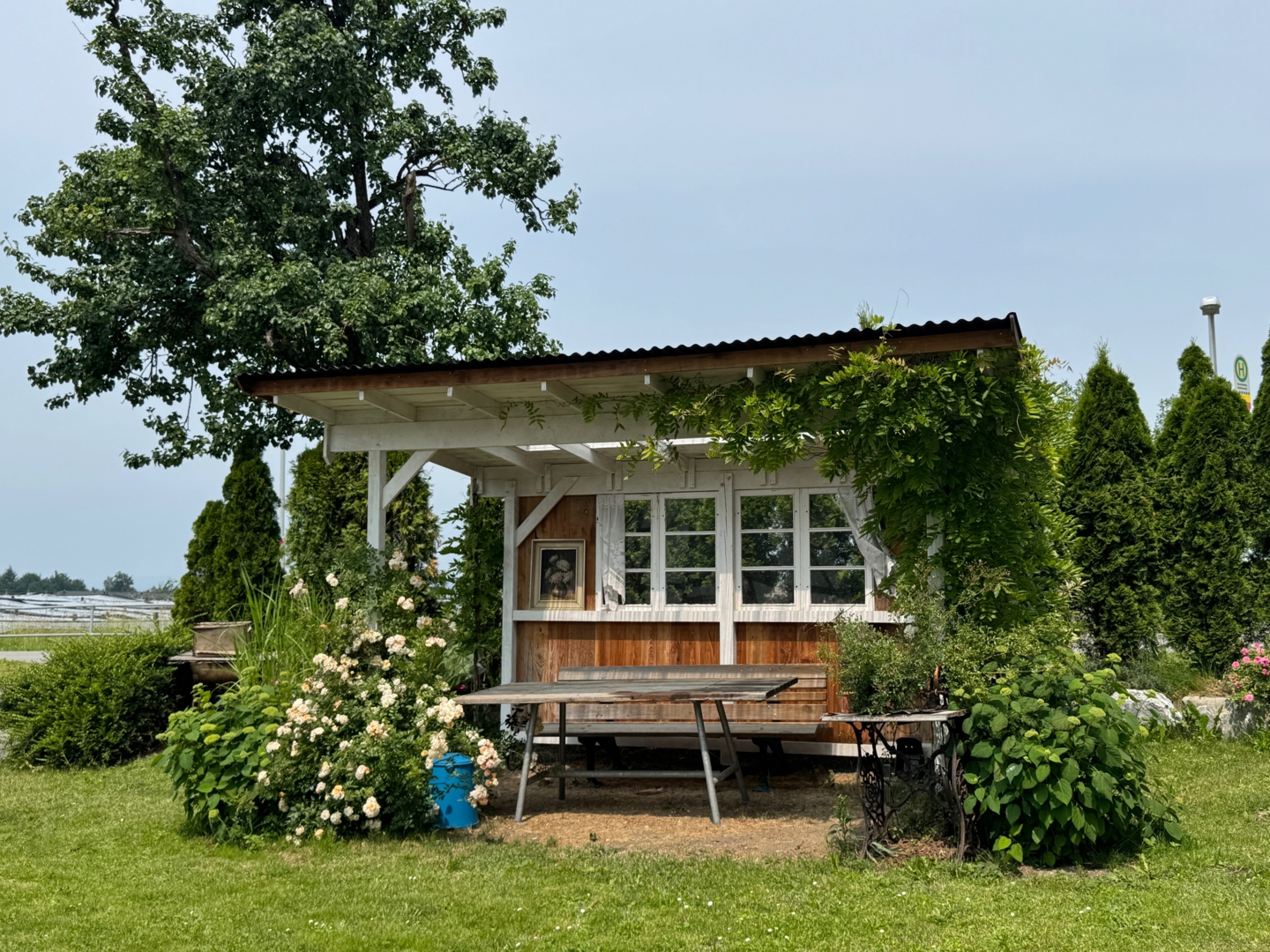 Natural farm between Ravensburg and Lake Constance