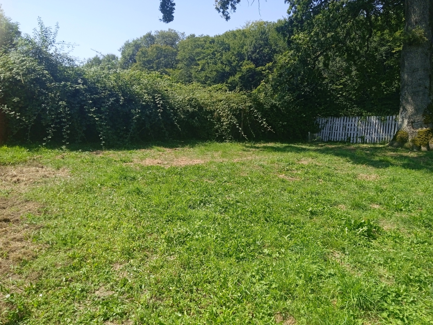 Campspace in MENESTREAU, Burgundy-Franche-Comté