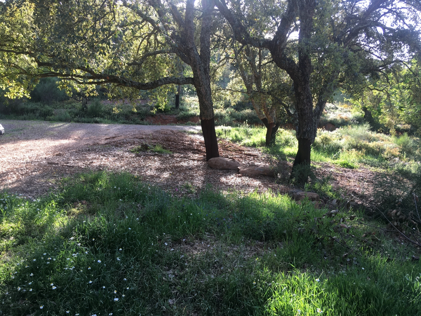 Campspace in Fuenteheridos, Andalusia