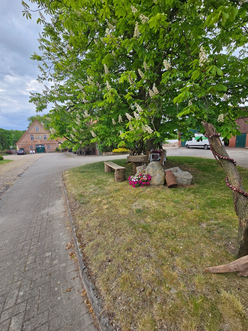 Campspace in Mellinghausen