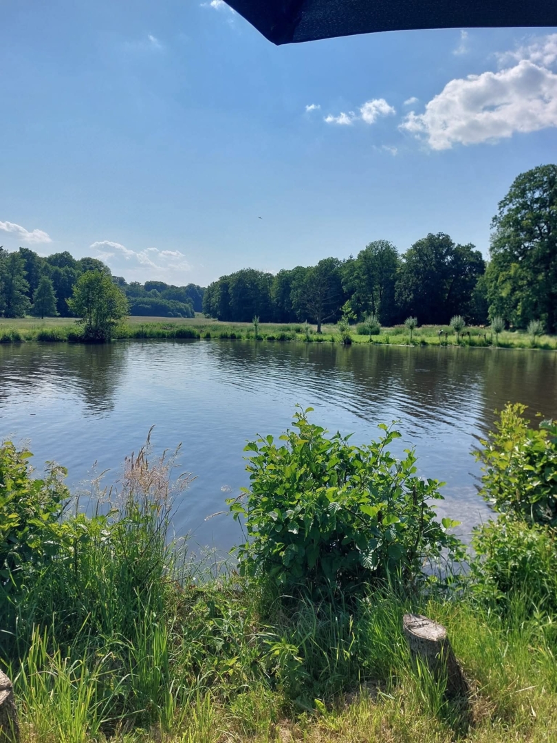 Campspace in Bruchhausen-Vilsen, Lower Saxony