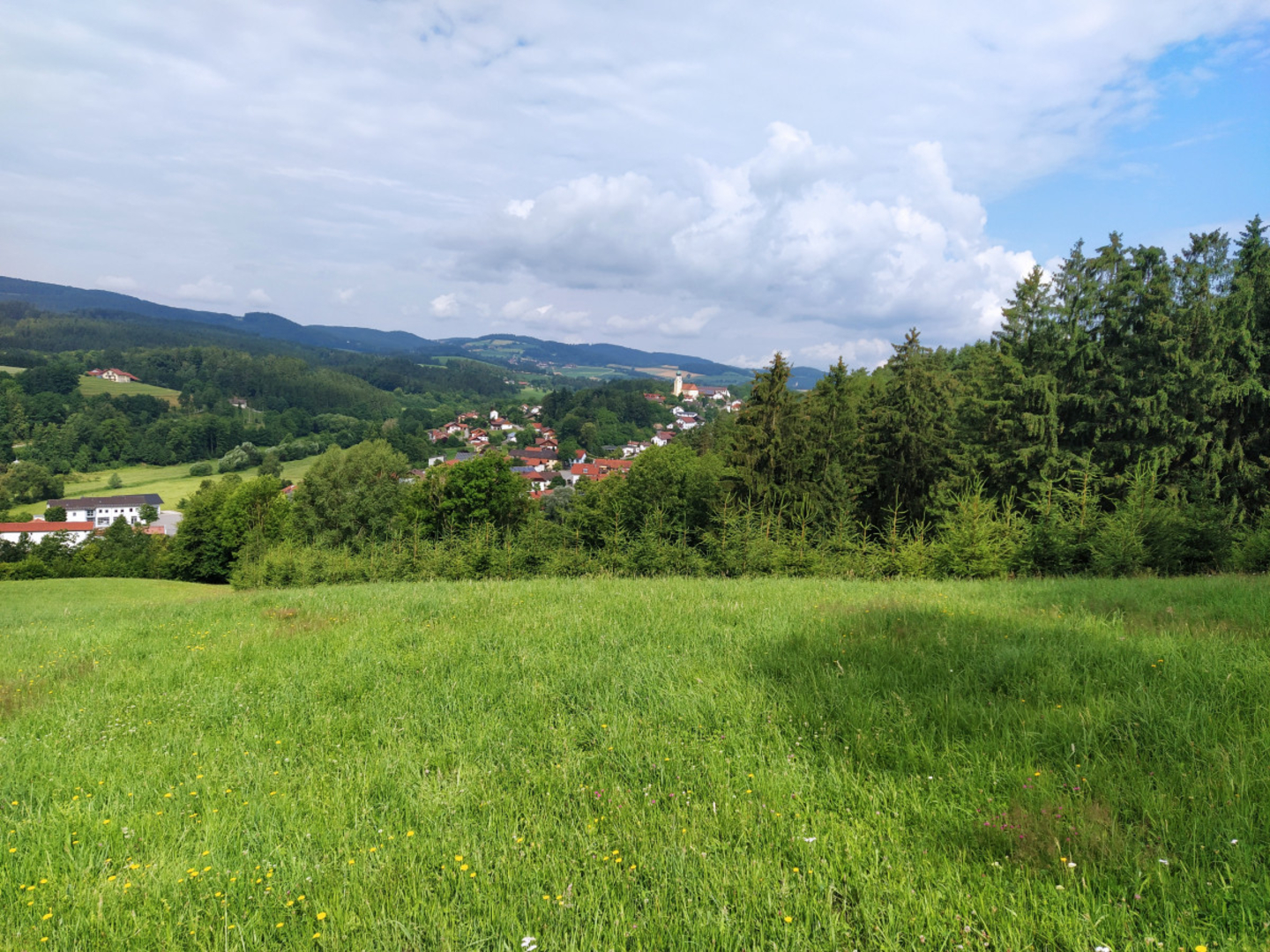 Small mountain farm in the Bavarian Forest ∞ Campercontact