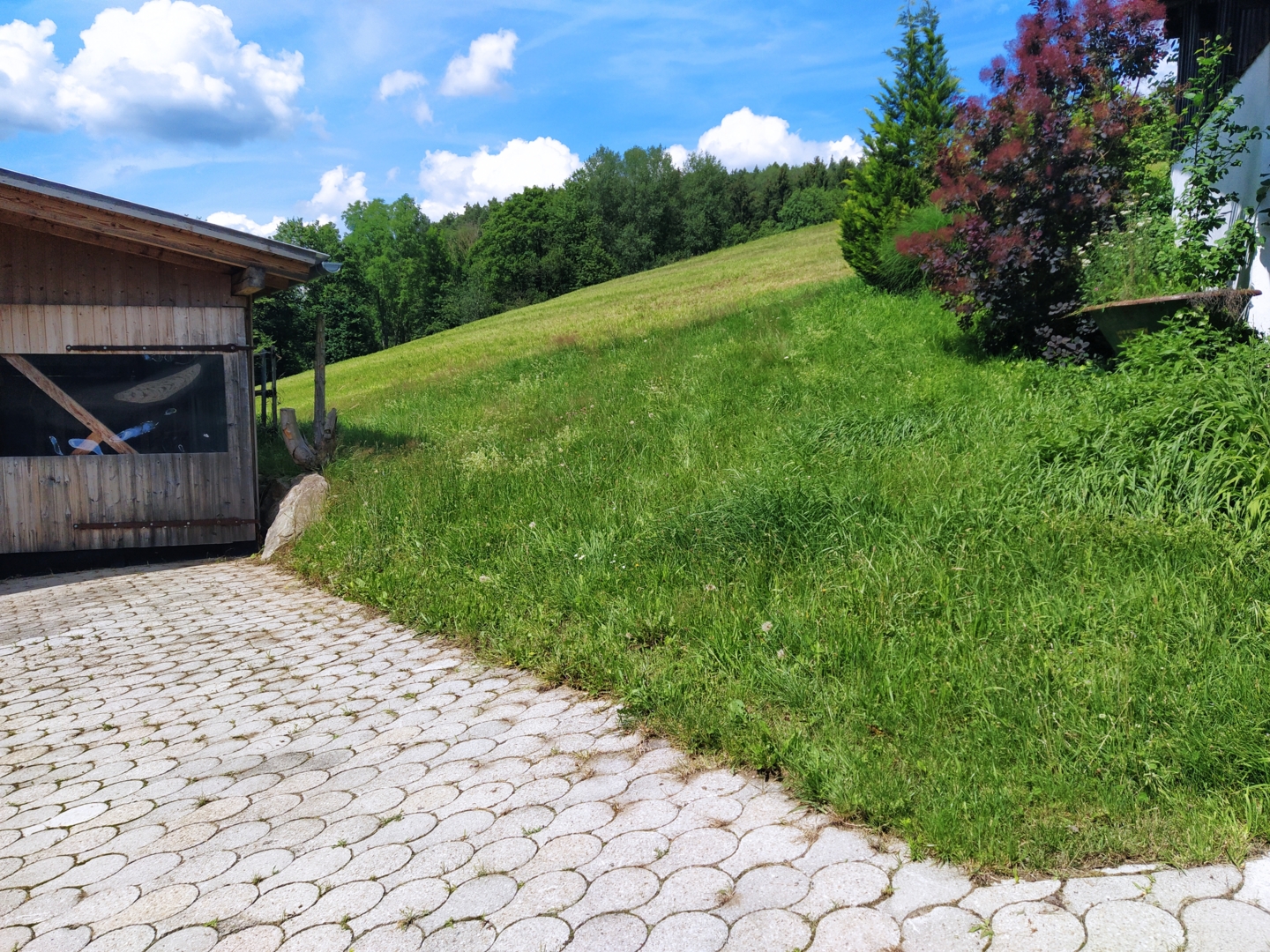 Small mountain farm in the Bavarian Forest ∞ Campercontact