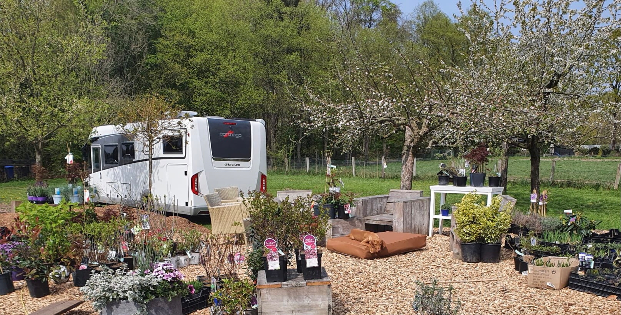 Camping insider tip in Münster