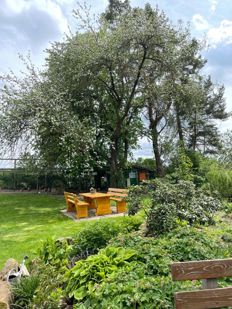 Oasis of peace