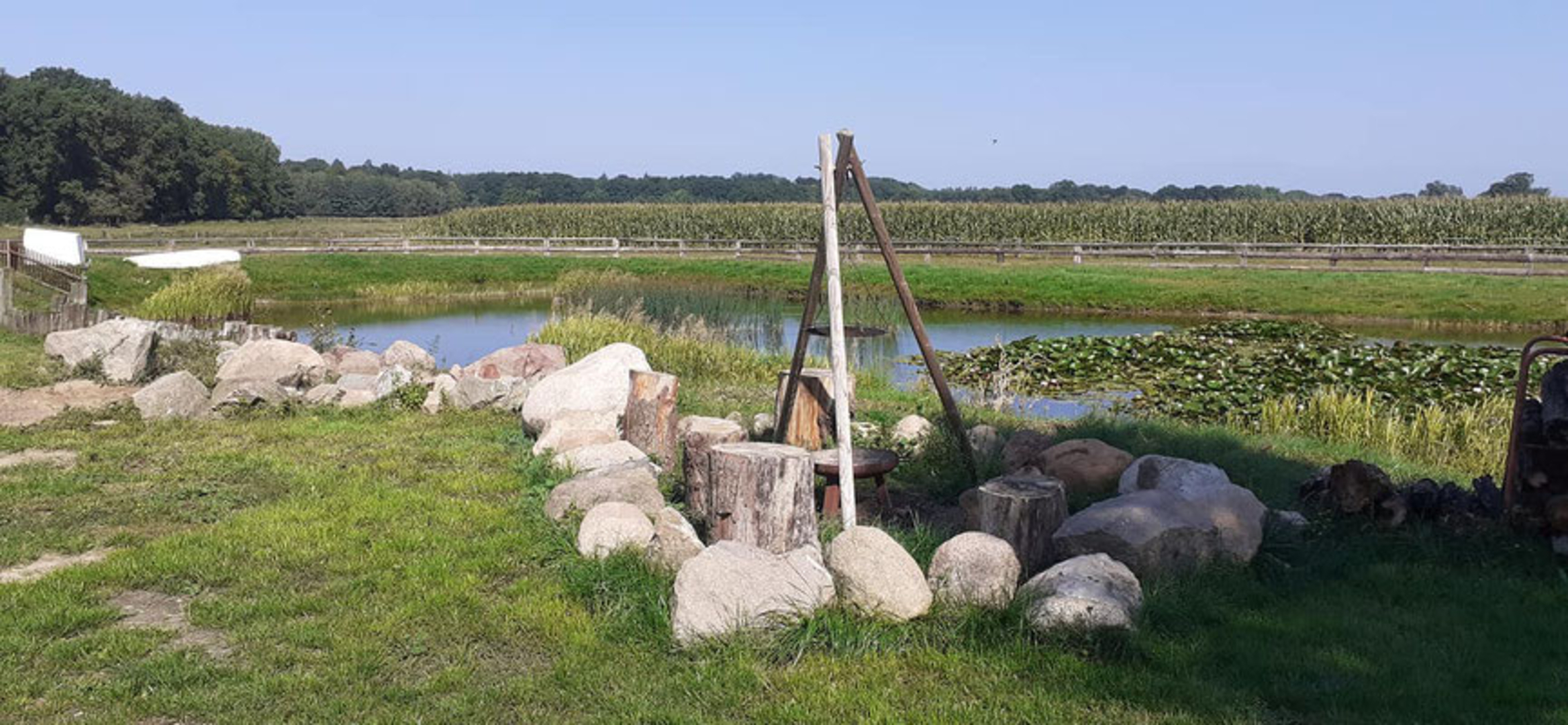 Time out at the Charlottenhof with natural swimming pond