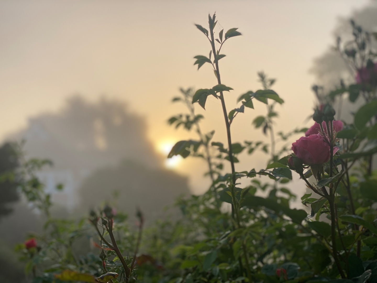 In the countryside with 24-hour bus service to the city