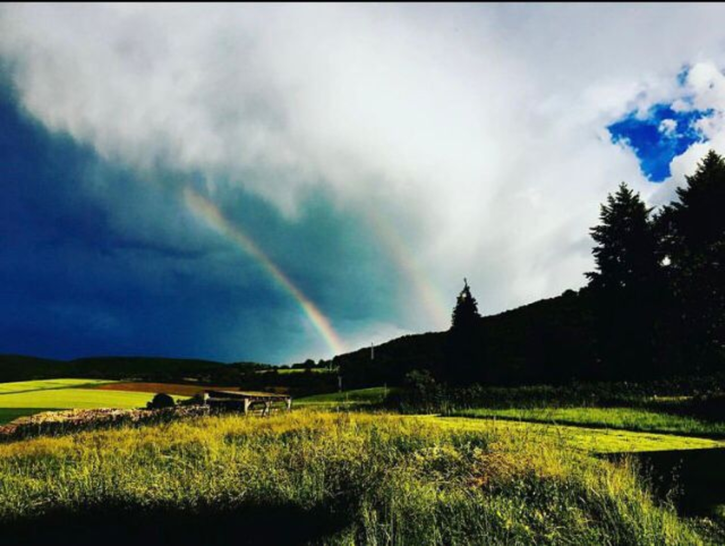 On the small field, pure nature and peace
