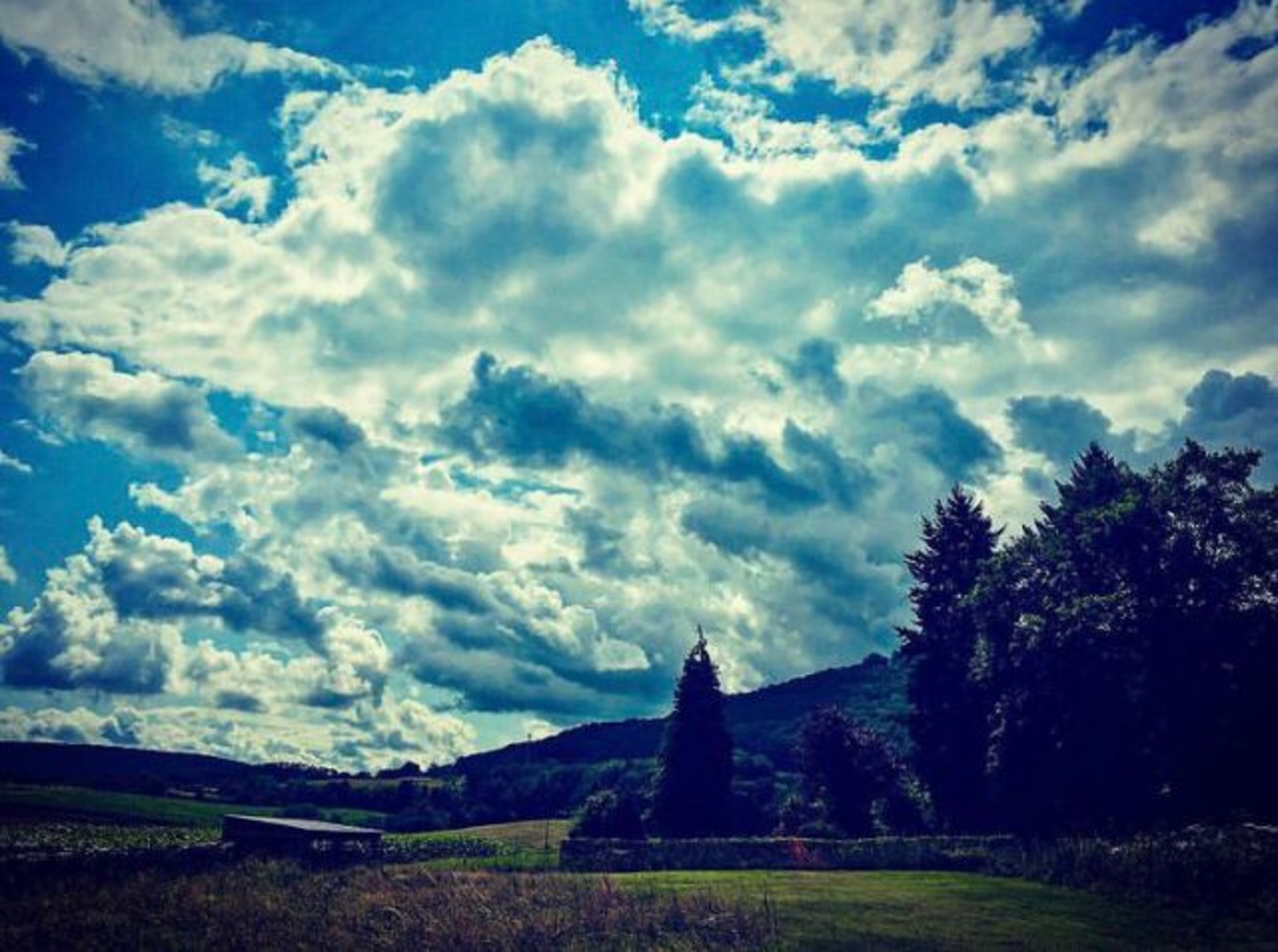 On the small field, pure nature and peace