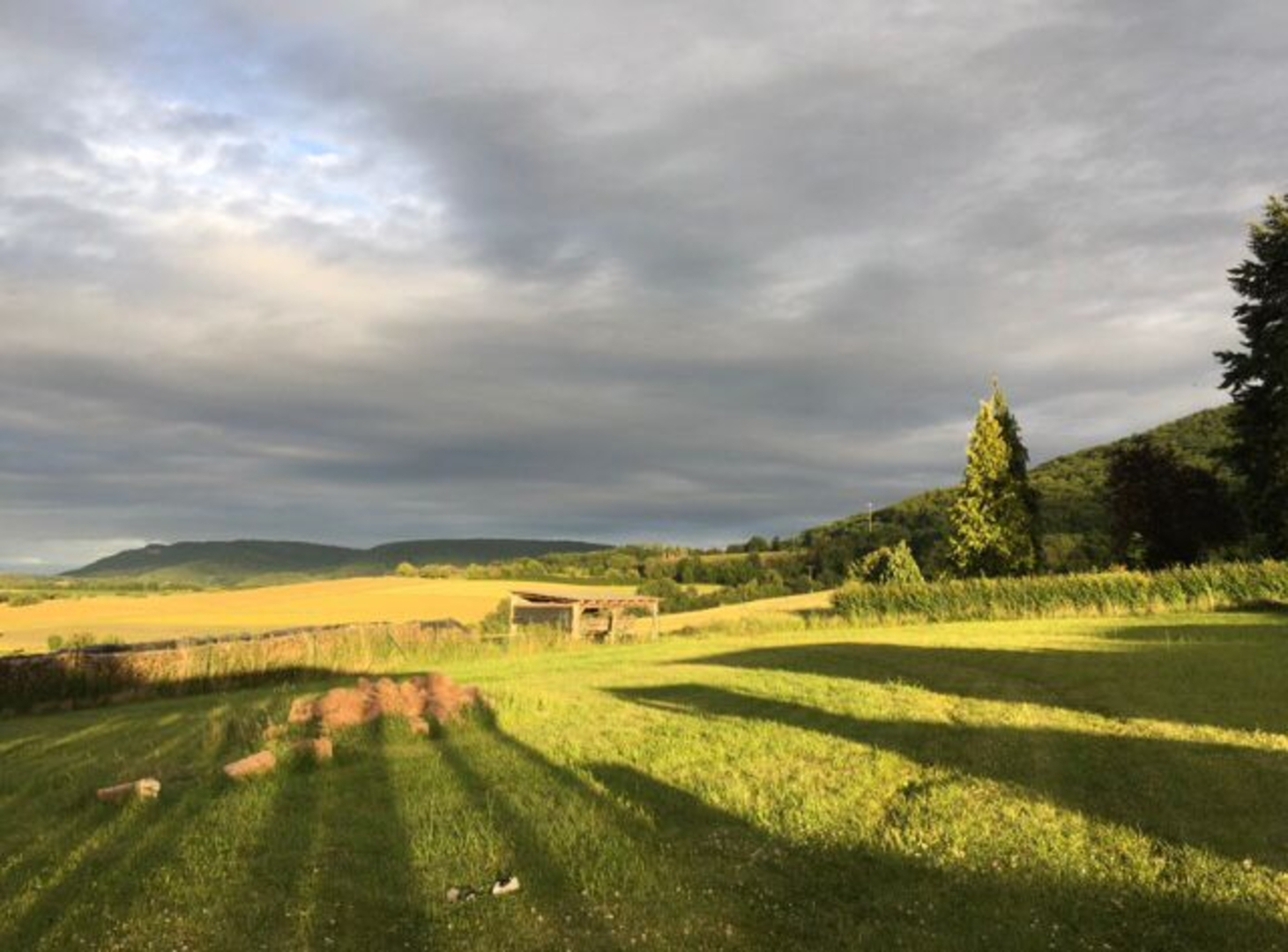 On the small field, pure nature and peace