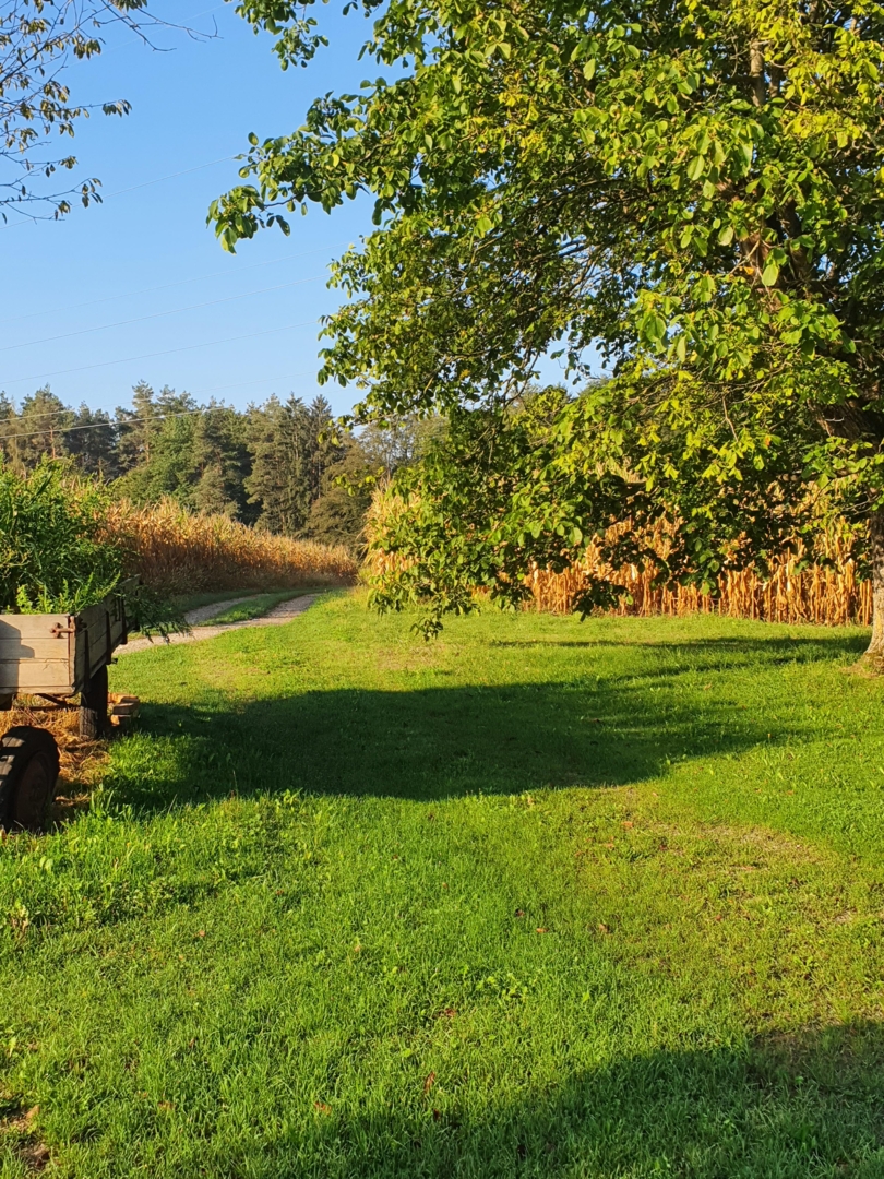 Camping at the idyllic Hadermannhof