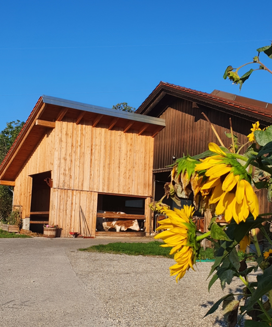 Camping at the idyllic Hadermannhof