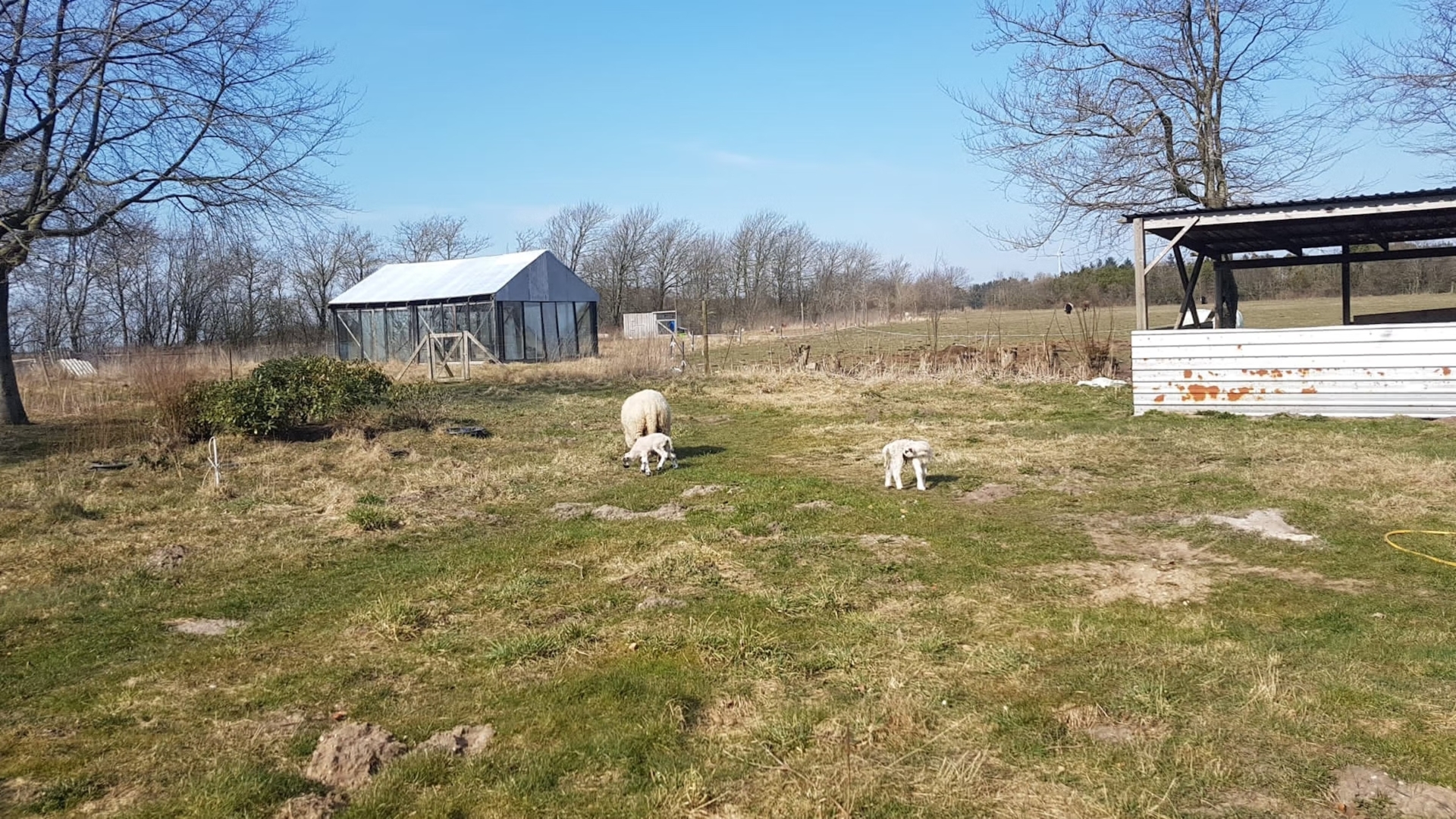 Rainer's self-sufficient farm