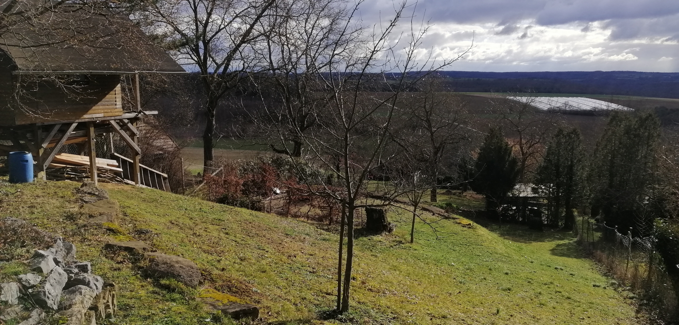 Straw and hedge Allgäu view at Hohscheid Eberdingen