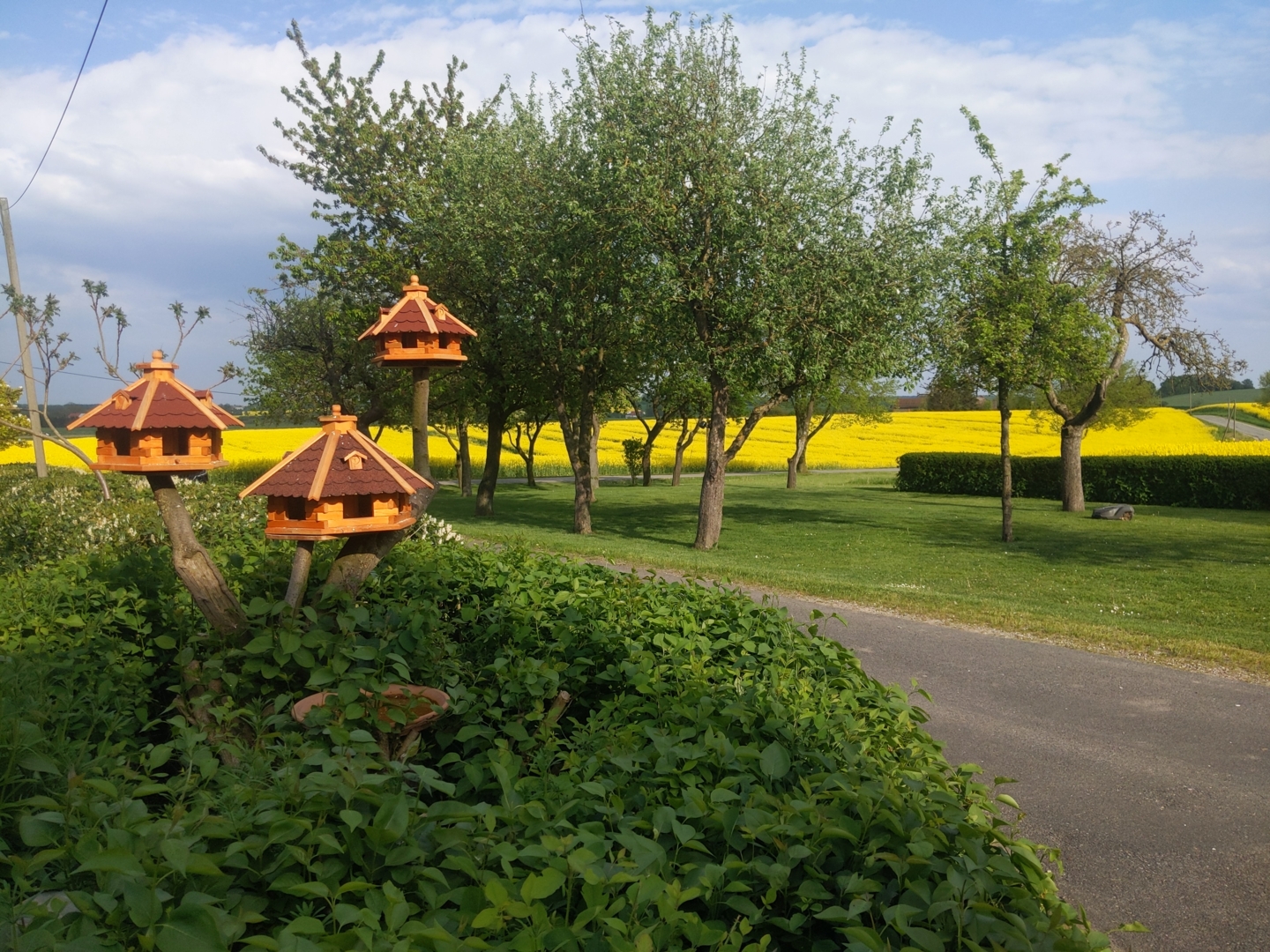 Our farm with a beautiful view – 3 pitches for campers