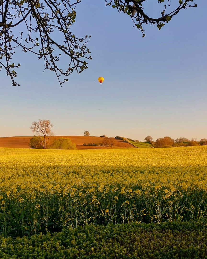 Our farm with a beautiful view – 3 pitches for campers